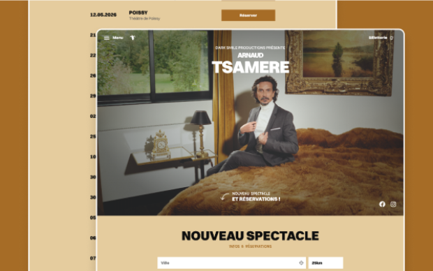 Site WordPress de l'humoriste Arnaud Tsamere par Topicimes